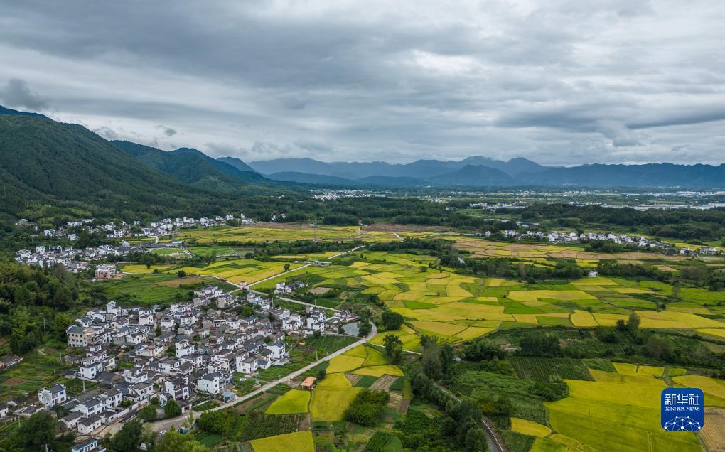 客户端巴黎人
